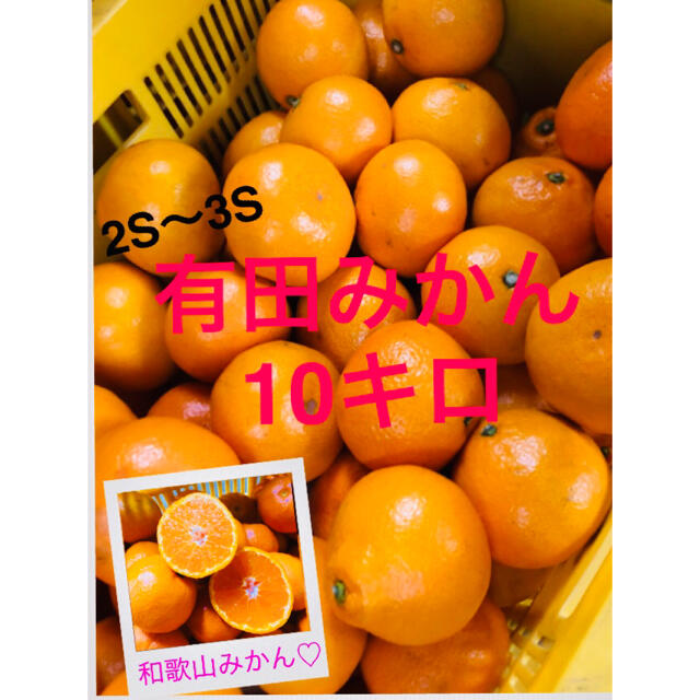 和歌山有田みかん2.3S小粒みかん10キロ　残り僅か 食品/飲料/酒の食品(フルーツ)の商品写真