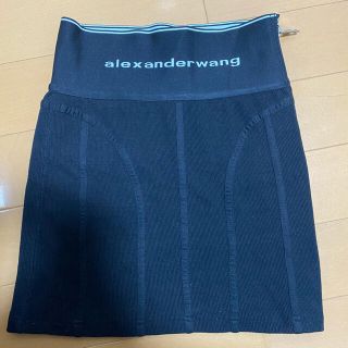 アレキサンダーワン(Alexander Wang)のなみさん専用(ミニスカート)