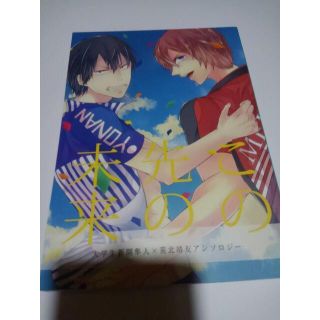 弱虫ペダル同人誌この先の未来、新開X 荒北、サラリ他(ボーイズラブ(BL))