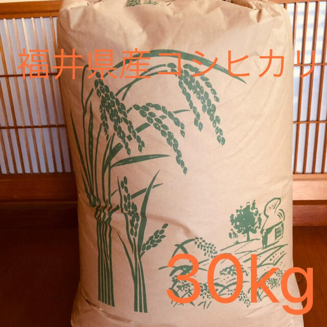 古米　福井県産　コシヒカリ　30kg　米/穀物