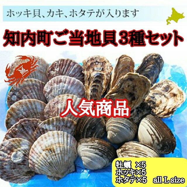 食品/飲料/酒北海道知内産　貝３種詰め合わせセット