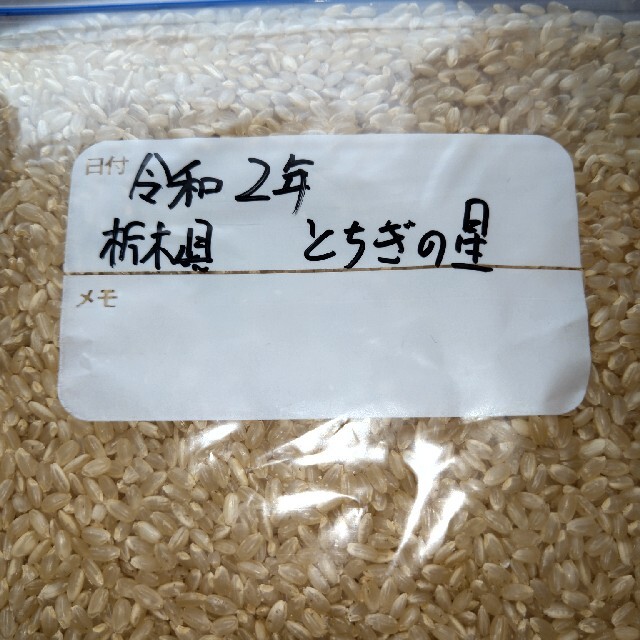 令和２年 栃木県産 とちぎの星 玄米 10kg