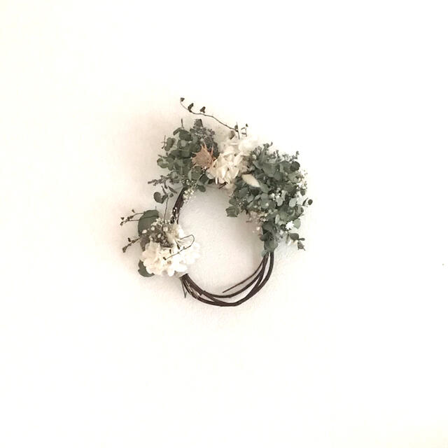 小葉ユーカリ　dried flower  oval wreathe