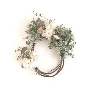 小葉ユーカリ　dried flower  oval wreathe(ドライフラワー)