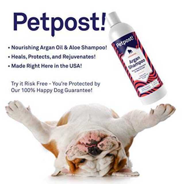 474mlpetpost 犬用アルガンシャンプー 乾燥した犬の肌と毛を自然の通販 By ノルちゃん S Shop ラクマ 474mlpetpost 犬用アルガンシャンプー 乾燥した犬の肌と毛を自然の通販 By ノルちゃん S Shop ラクマ