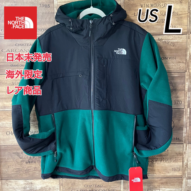 海外限定 THE NORTH FACE ノースフェイス デナリ フーディー L