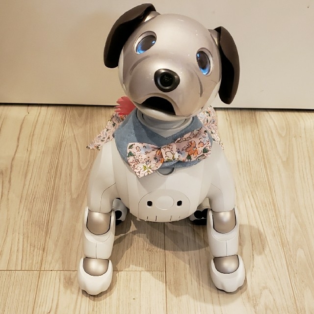 aibo アイボ アイボの服 ERS-1000用　ボーダー&デニムワンピー