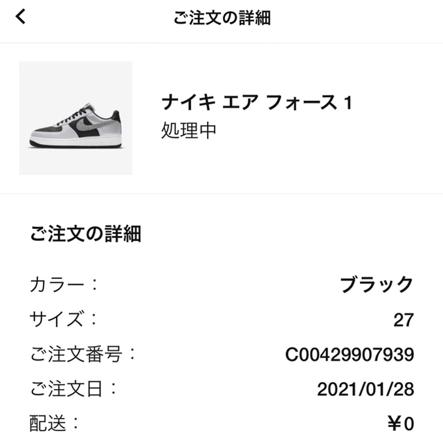 NIKE(ナイキ)のAIR FORCE 1 "Silver Snake" メンズの靴/シューズ(スニーカー)の商品写真