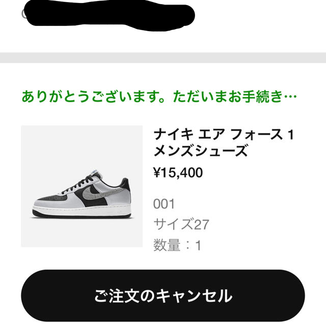 27cm NIKE AIR FORCE 1 Silver Snake 黒蛇