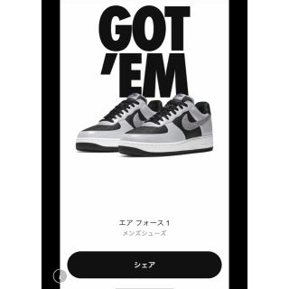 ナイキ(NIKE)のナイキ エアフォース1 Silver Snake 黒蛇 (スニーカー)