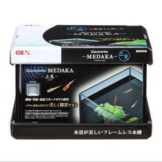 テトラ(Tetra)の ＧＥＸ　グラステリア　メダカ　上見水槽(アクアリウム)