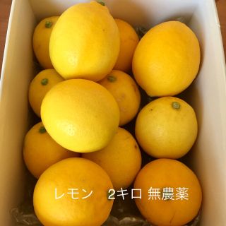 レモン　無農薬　2キロ【残りわずかです】(フルーツ)