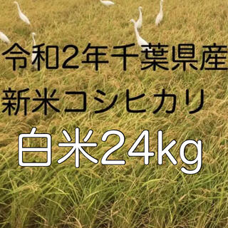 令和2年新米コシヒカリ白米24kg(米/穀物)