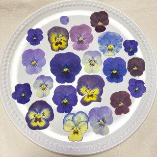 エディブルフラワーの押し花 ビオラ(その他)