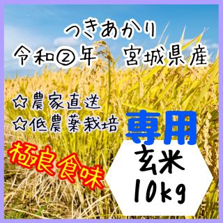 ☆専用品 【農家直送】宮城県産つきあかり　玄米10kg【送料無料】(米/穀物)