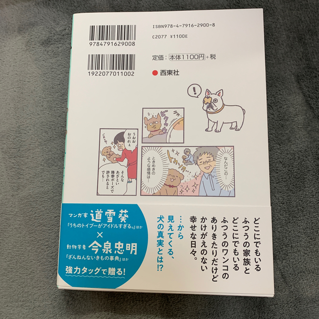 いぬほん 犬のほんねがわかる本 エンタメ/ホビーの本(住まい/暮らし/子育て)の商品写真