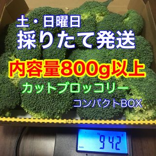 カットブロッコリー　コンパクトBOX 採れたて発送(野菜)