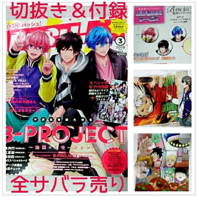 主婦と生活社(シュフトセイカツシャ)のPASH!(パッシュ) 2019年 03月号 記事切り抜き バラ売り エンタメ/ホビーの雑誌(アート/エンタメ/ホビー)の商品写真