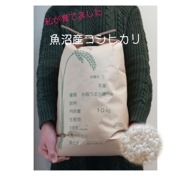 お米10kg 令和2年魚沼産コシヒカリ玄米 - 米/穀物