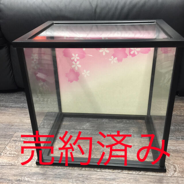 人形ケース8号 桜柄 はめ込み型 完成品の通販 By Boku S Mall Shop ラクマ 人形ケース8号 桜柄 はめ込み型 完成品の通販 By Boku S Mall Shop ラクマ