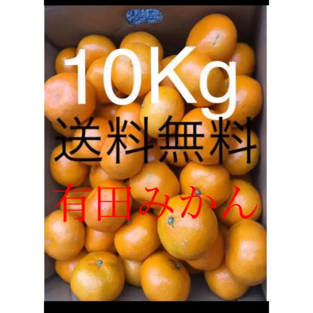 和歌山県 訳あり傷あり有田みかん約10Kg 食品/飲料/酒の食品(フルーツ)の商品写真