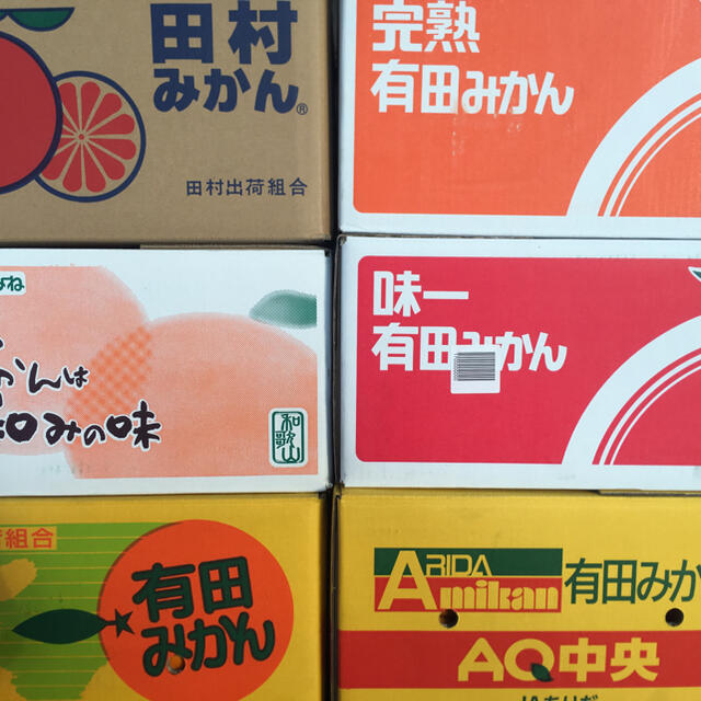 和歌山県 訳あり傷あり有田みかん約10Kg 食品/飲料/酒の食品(フルーツ)の商品写真