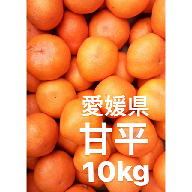 愛媛県産　甘平　柑橘　みかん　10kg