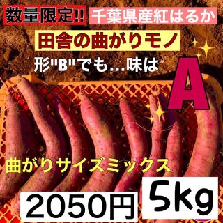 千葉県産サツマイモ　熟成紅はるか　曲がり5kg 概要必読　さつまいも(野菜)