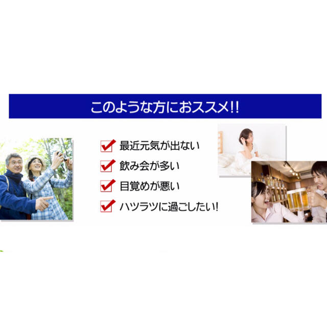 しじみエキス 6ヶ月分 しじみ習慣の代用に 食品/飲料/酒の健康食品(その他)の商品写真