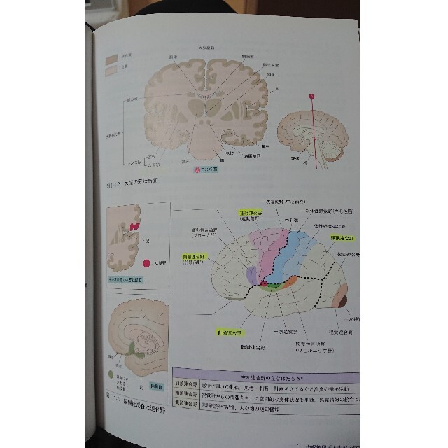 深く深く知る脳からわかる摂食・嚥下障害 エンタメ/ホビーの本(健康/医学)の商品写真