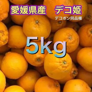 2801 愛媛県産 訳あり デコ姫 5kg デコポン 同品種(フルーツ)