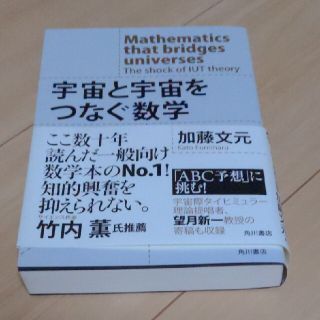 宇宙と宇宙をつなぐ数学 ＩＵＴ理論の衝撃(科学/技術)