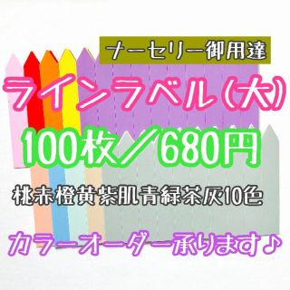 ◎100枚◎ 10色 (大) ラインラベル 園芸ラベル カラーラベル(プランター)