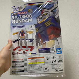 バンダイ(BANDAI)の1/200 RX-78F00 GUNDAM 2個 (ガンダムプラモデル) (模型/プラモデル)