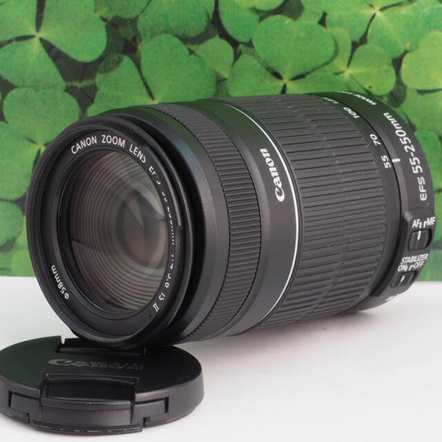 【美品】Canon EF-S55-250mmF4-5.6ISII 運動会大活躍☆