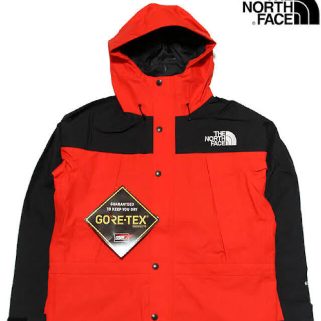 THE NORTH FACE マウンテンライトジャケット GORE-TEX