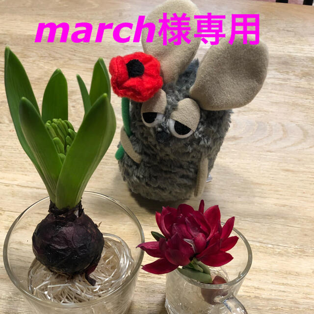 marchさま専用です????????‍♀️