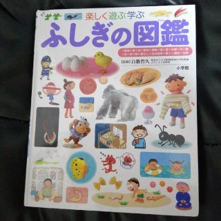 ショウガクカン(小学館)のふしぎの図鑑 楽しく遊ぶ学ぶ(絵本/児童書)