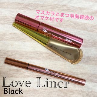 エムエスエイチ(msh)のLove liner （ラブライナー）リキッドアイライナー ブラック(アイライナー)