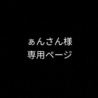 ぁんさん様専用ページ　やっとこピン(滑り止め付き)(ファッション雑貨)