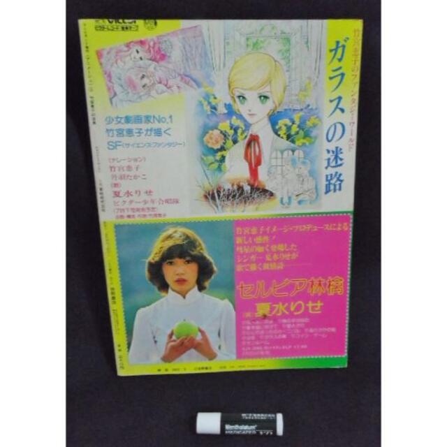 竹宮恵子の世界/ポスター 未発表作品集 寺山修司 風と木の詩 イラスト集 エンタメ/ホビーの本(ボーイズラブ(BL))の商品写真