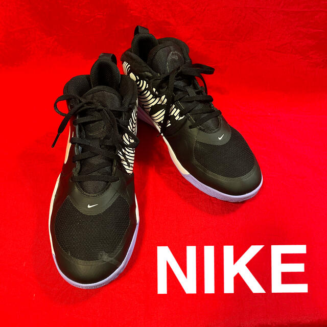 NIKE(ナイキ)の地震雷火事親父さま専用 メンズの靴/シューズ(スニーカー)の商品写真