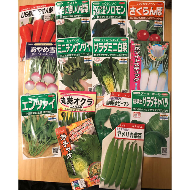 野菜の種 5種類セット 小分け 食品/飲料/酒の食品(野菜)の商品写真