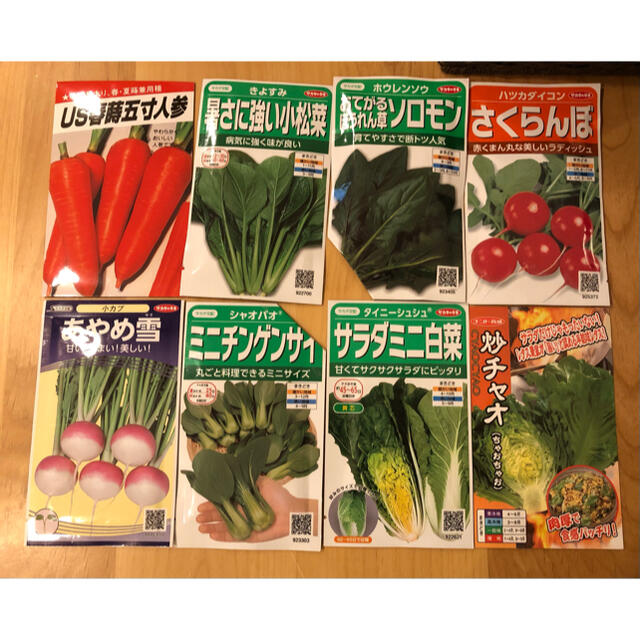 野菜の種 5種類セット 小分け 食品/飲料/酒の食品(野菜)の商品写真