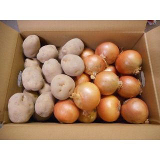 北海道産　ジャガイモとタマネギのセット　10kg　農家直送(野菜)