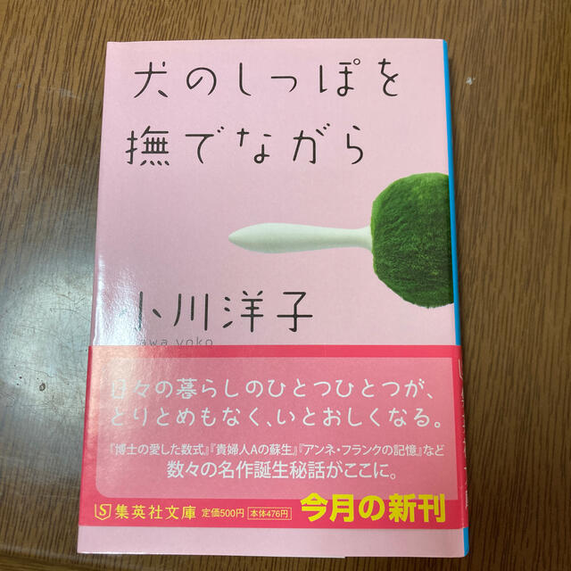 犬のしっぽを撫でながら エンタメ/ホビーの本(文学/小説)の商品写真