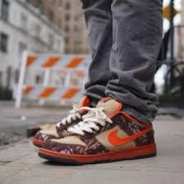 nike dunk hunter