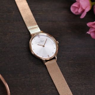 スカーゲン(SKAGEN)のSKAGEN SKW2151 腕時計(腕時計)