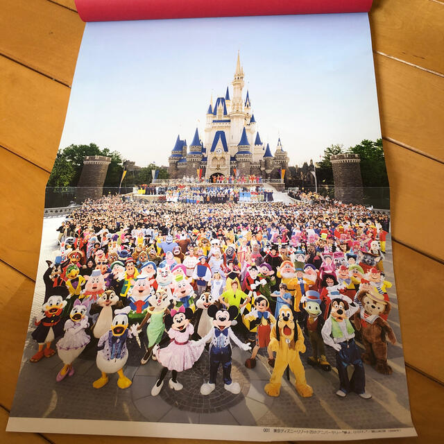 Disney 東京ディズニーリゾートドリーム写真集の通販 By もりこ S Shop ディズニーならラクマ