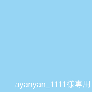 ayanyan_1111様専用(マニキュア)